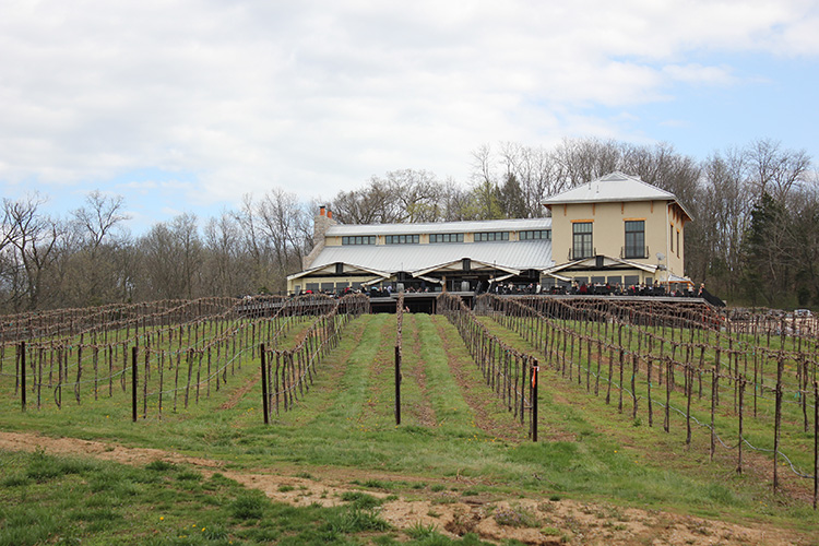 Chandler Hill Vineyards